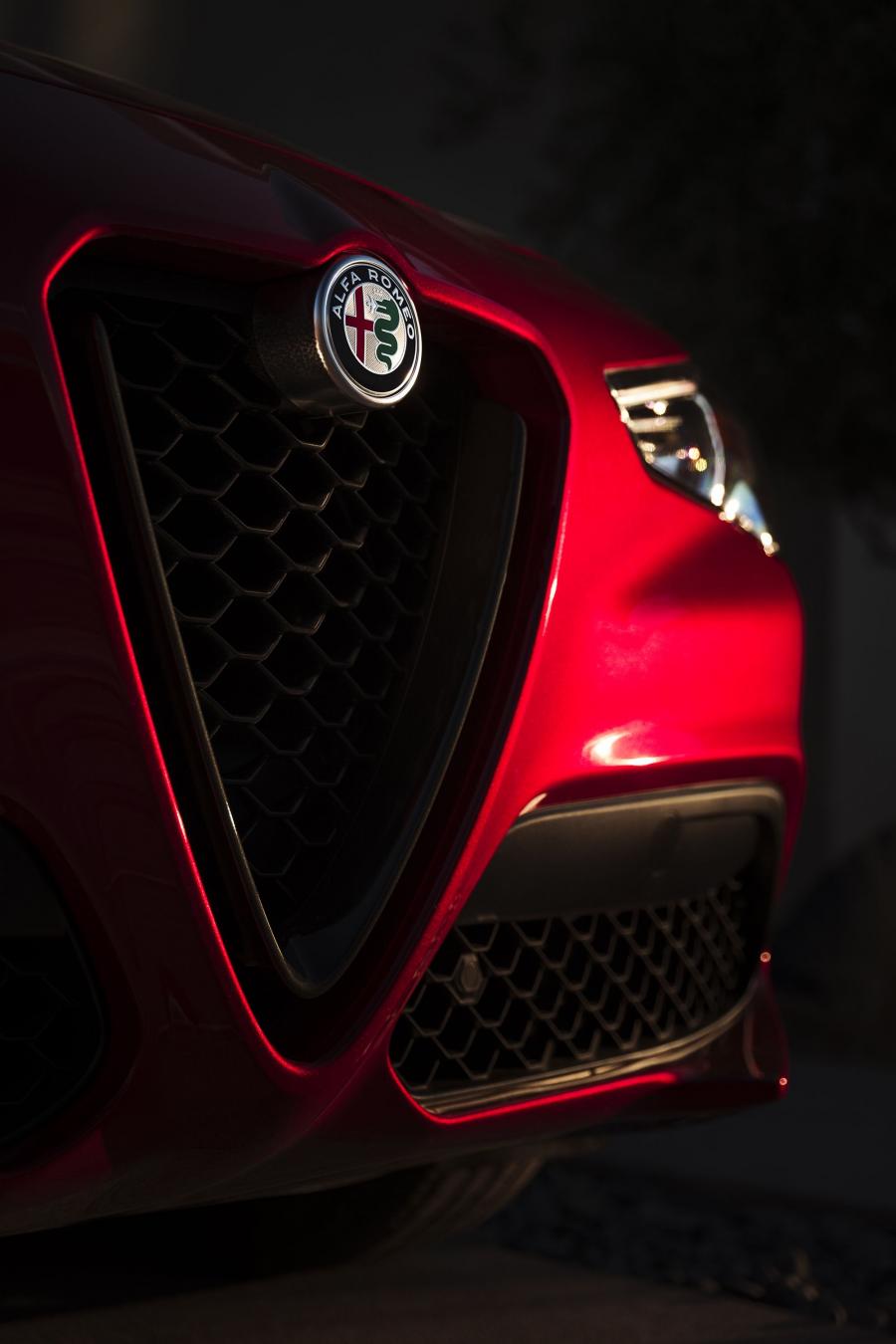 Детали экстерьера Alfa Romeo Stelvio Nero Edizione (949) 2018 года  (NA) (фото 10 из 10)